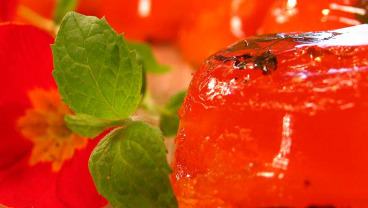 Galaretka cytrusowo – herbaciana