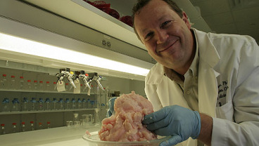 Dlaczego chudzi nie tyją?