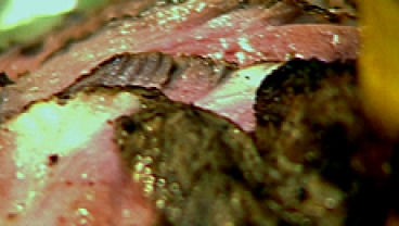 Grillowany udziec jagnięcy