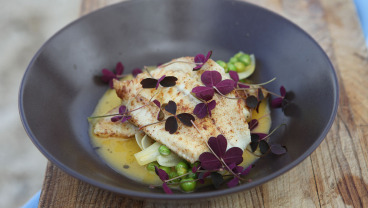 Turbot z sosem rokitnikowym