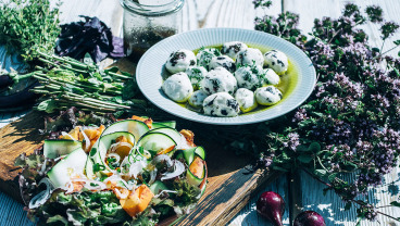 Kuleczki z sera koziego obtaczane w ziołach podane z sałatką z bobu