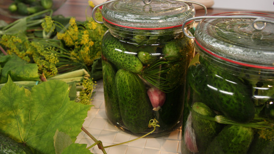 Makaron z sosem Alfredo bez laktozy